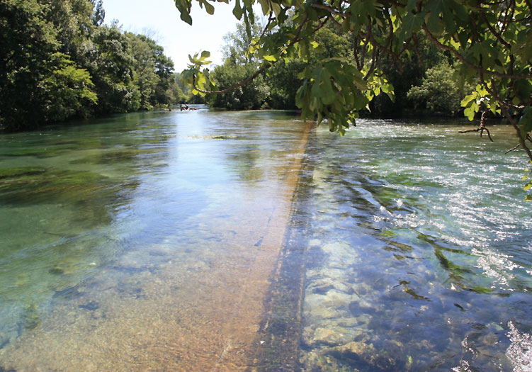 Le partage des eaux à L'Isle sur la Sorgue