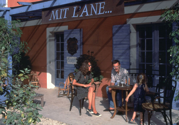 Terrasse d'antiquaire à l'Isle sur la Sorgue